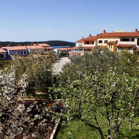 Cezar Apartman