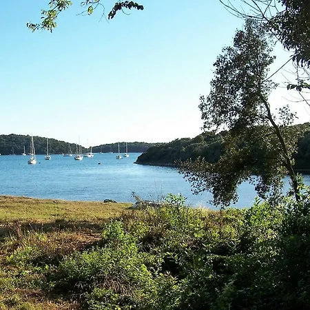 Cezar * Винкуран