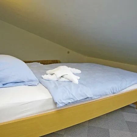 Cezar * فينكوران